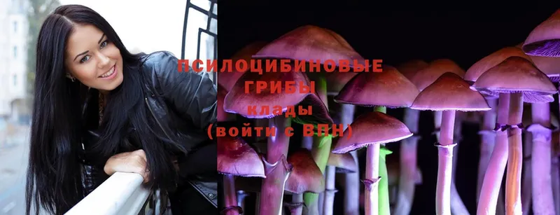 Псилоцибиновые грибы MAGIC MUSHROOMS  наркотики  Сковородино 